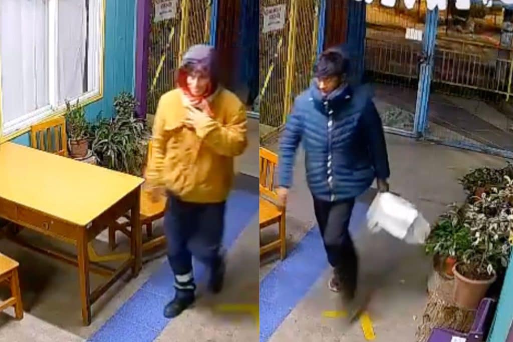 delincuentes jardin infantil maipu