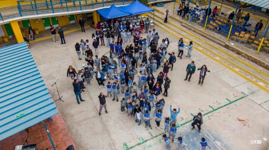Lanzamiento Guía Aprender para Proteger por el MMA y FAO