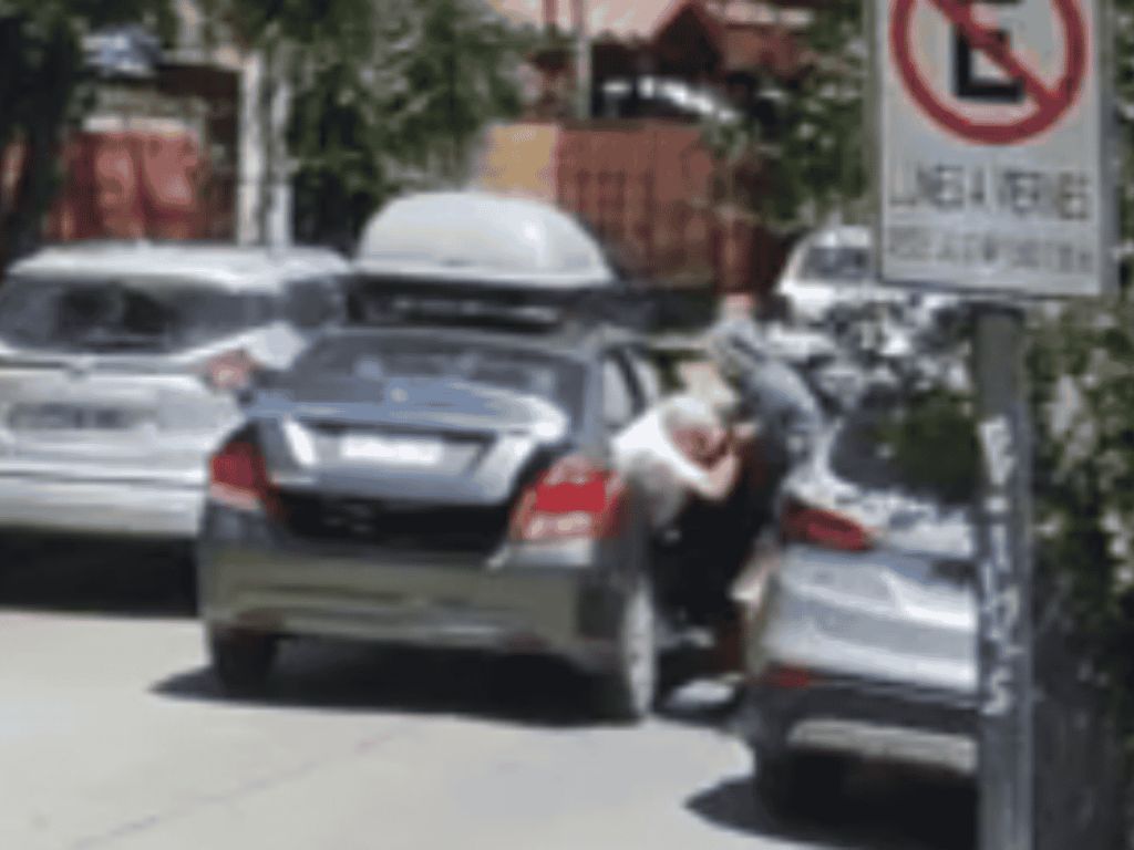 persona mayor víctima de robo de vehículo