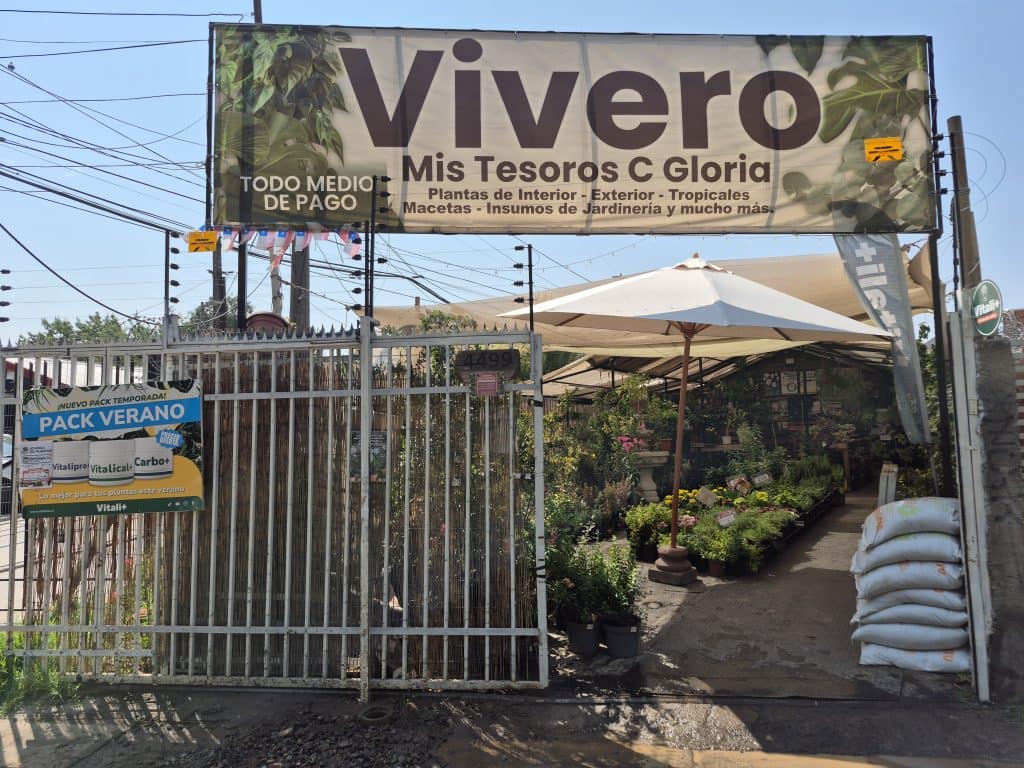 Entrada Vivero Mis Tesoros