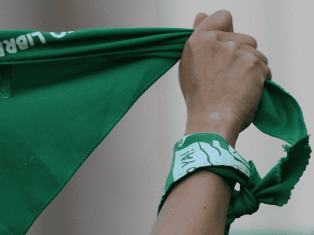 Ley IVE: 6.627 abortos en 9 años y nuevo proyecto para restringirla