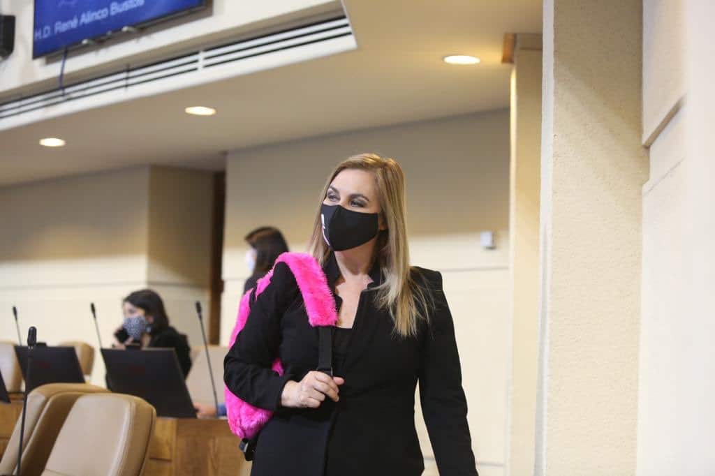 Diputada Pamela Jiles «suplica a Cathy Barriga que apoye públicamente el retiro del 10% de las AFP»
