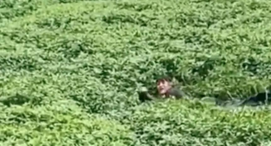 delincuente marga marga