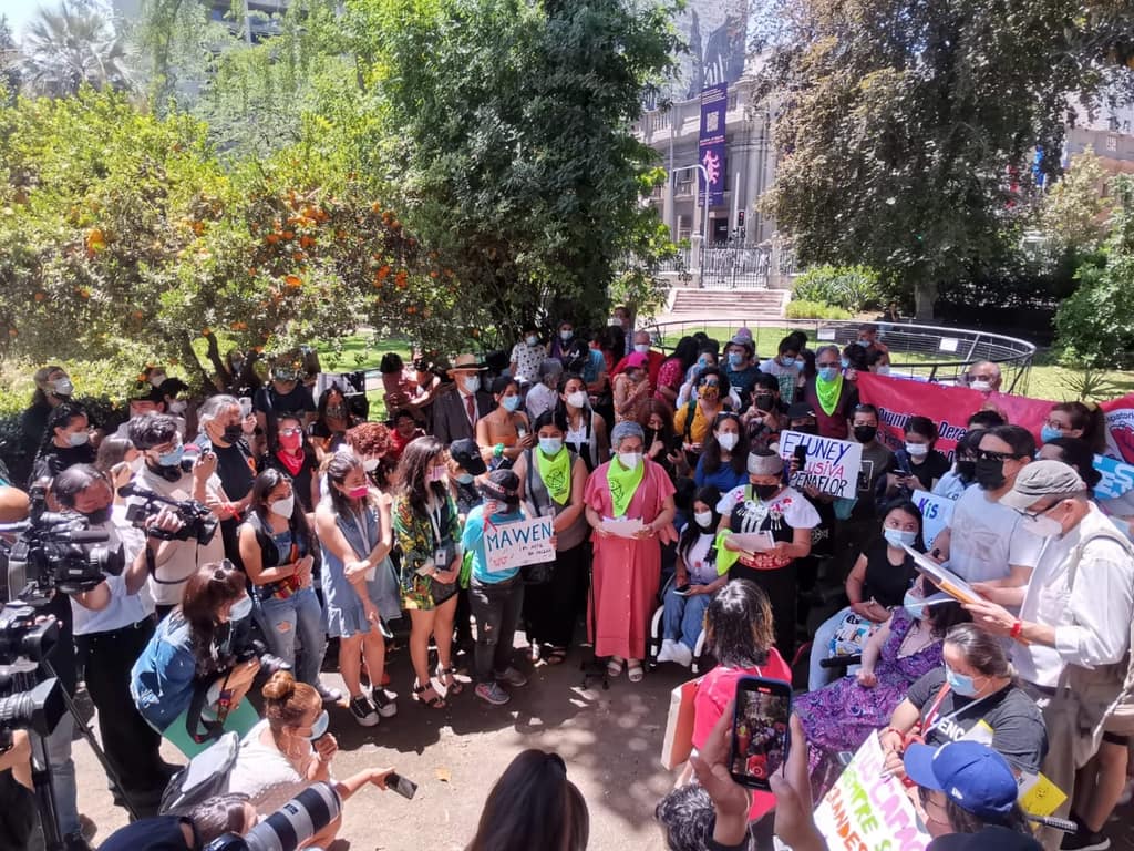 conadis en convención constitucional