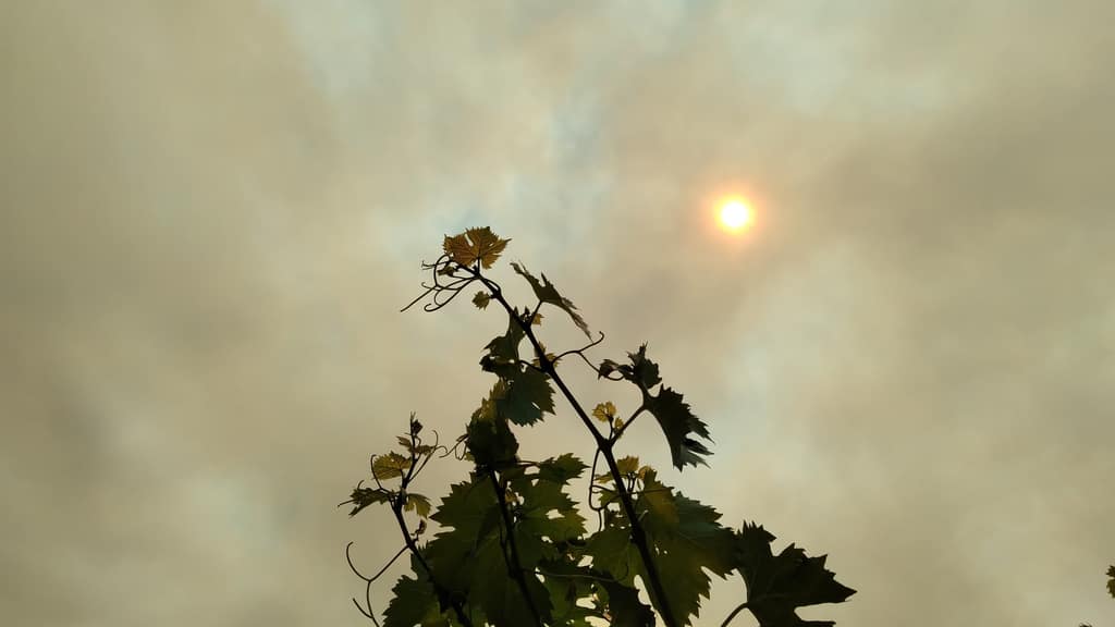 humo en maipu incendio