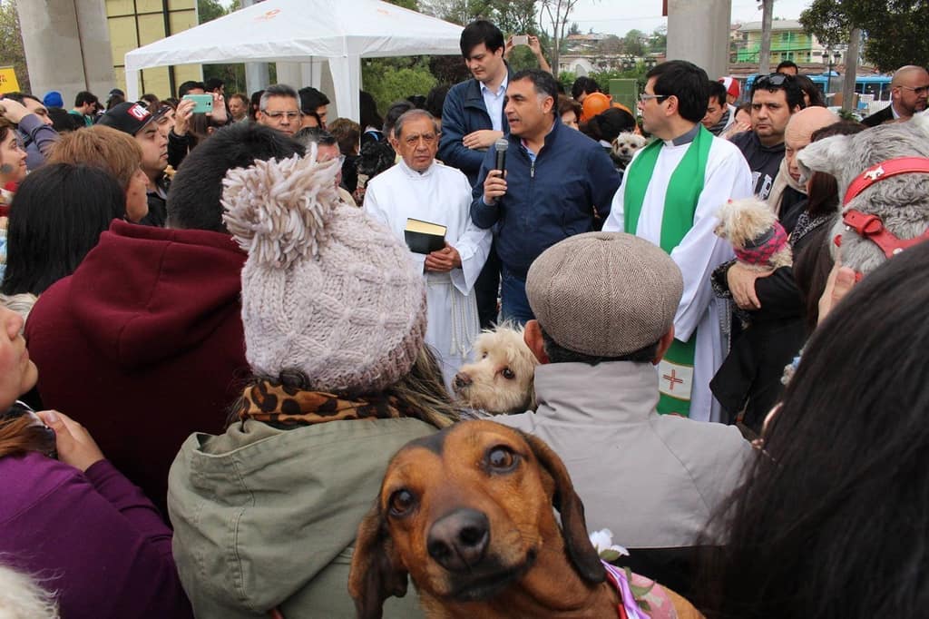 En el día de San Francisco de Asís se realizó bendición masiva de mascotas en el Templo Votivo de Maipú