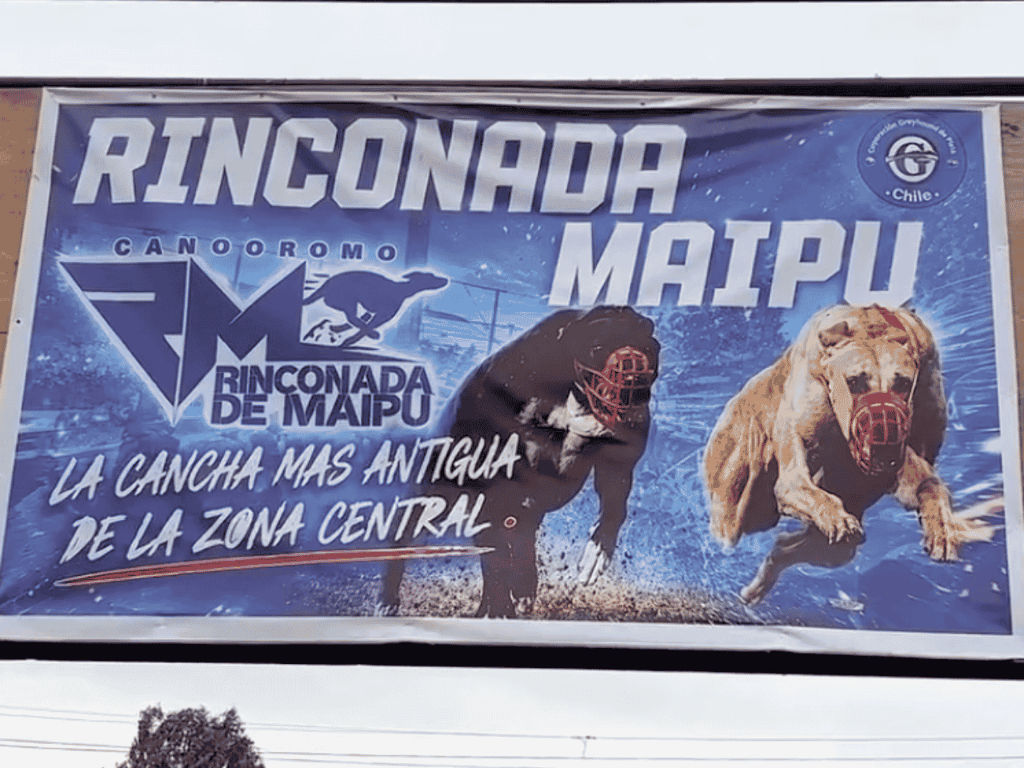 Canódromo