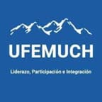 Foto de Directorio Nacional Unión de Funcionarios Municipales (UFEMUCH)
