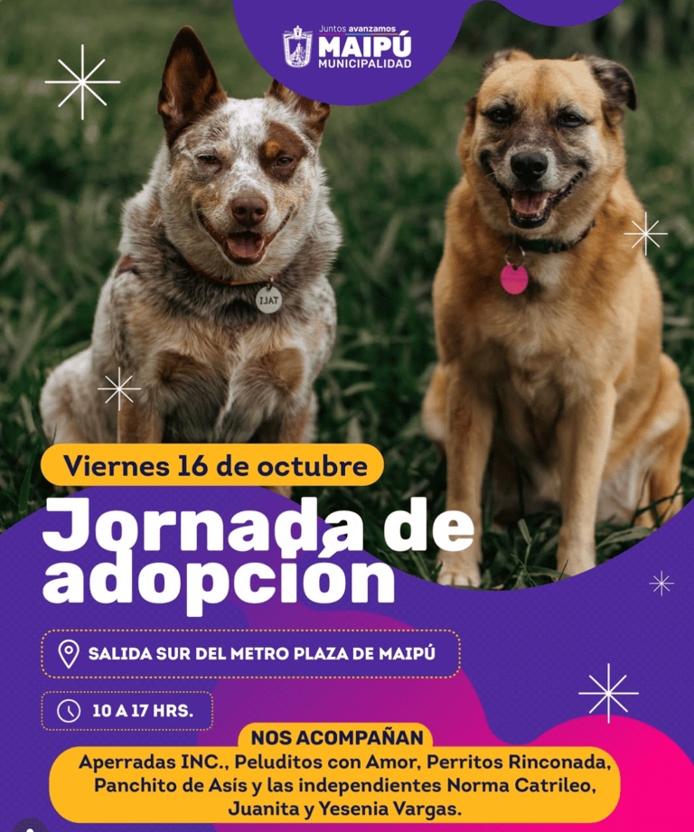 ADOPCIÓN DE PERROS 16-10.png