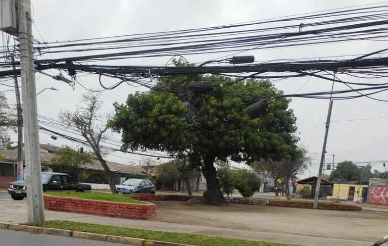 casa arbol maipu
