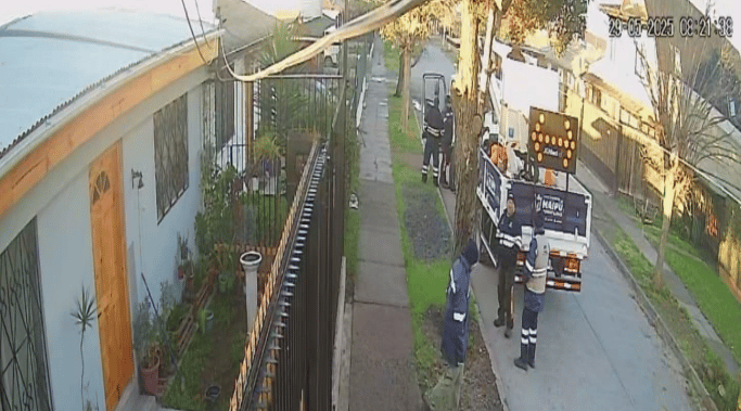 tala de árboles en pasaje Renaico