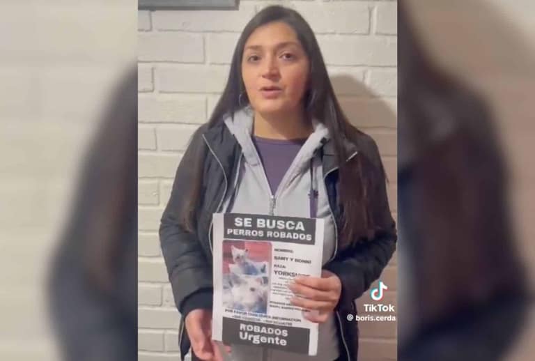 buscan perros maipu