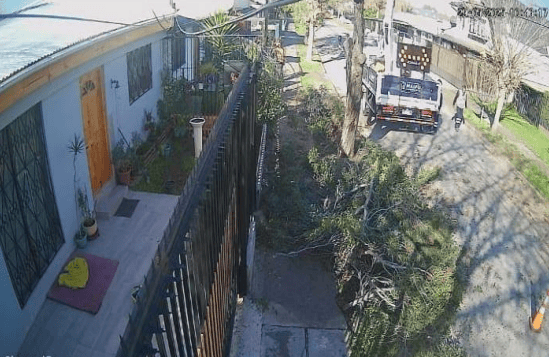 tala de árboles en pasaje Renaico