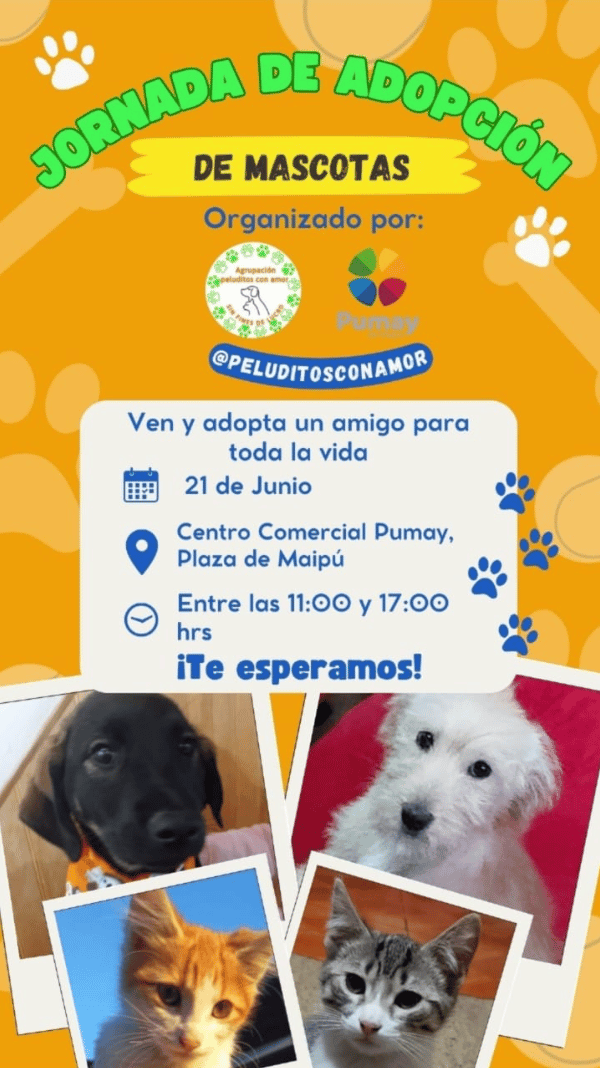 jornada de adopción mascota