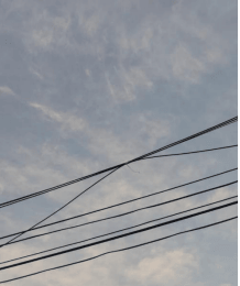 tala de árboles en pasaje Renaico