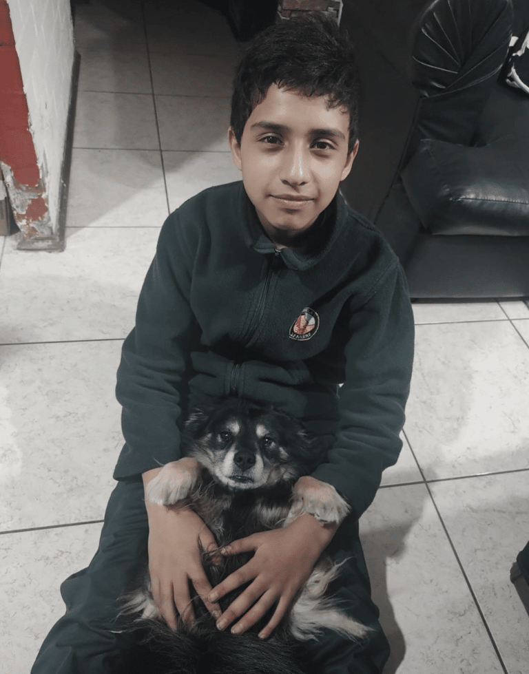 niño perdido en maipu