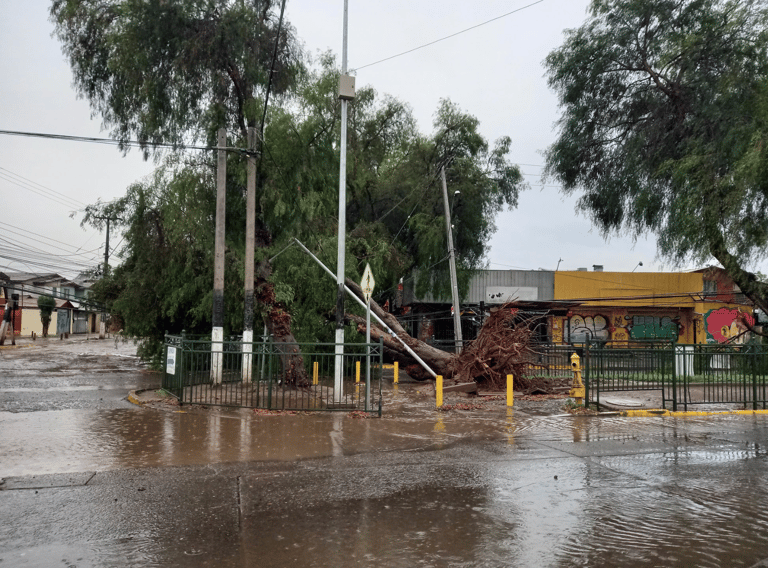 Fotos y videos: Así amaneció Maipú tras los intensos vientos de la madrugada