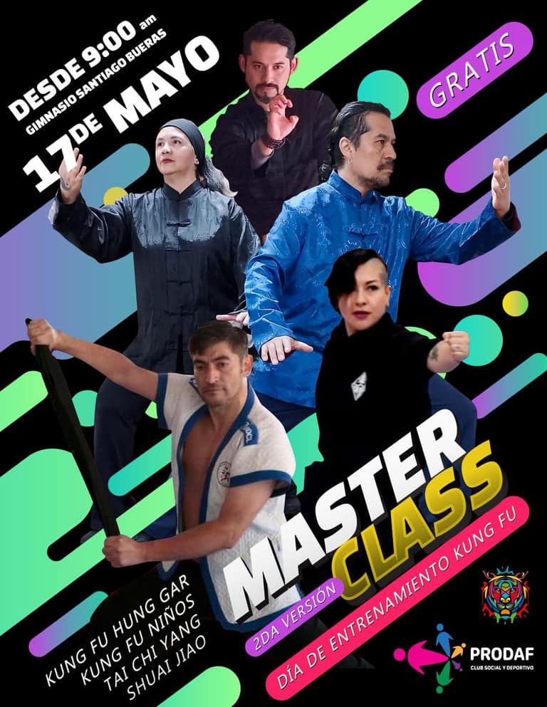 master class de kung fu en Maipú