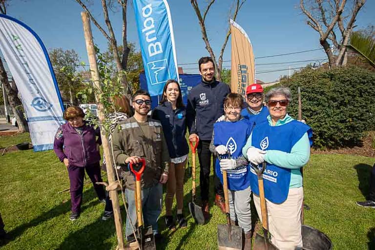 Plan de arborización en Maipú