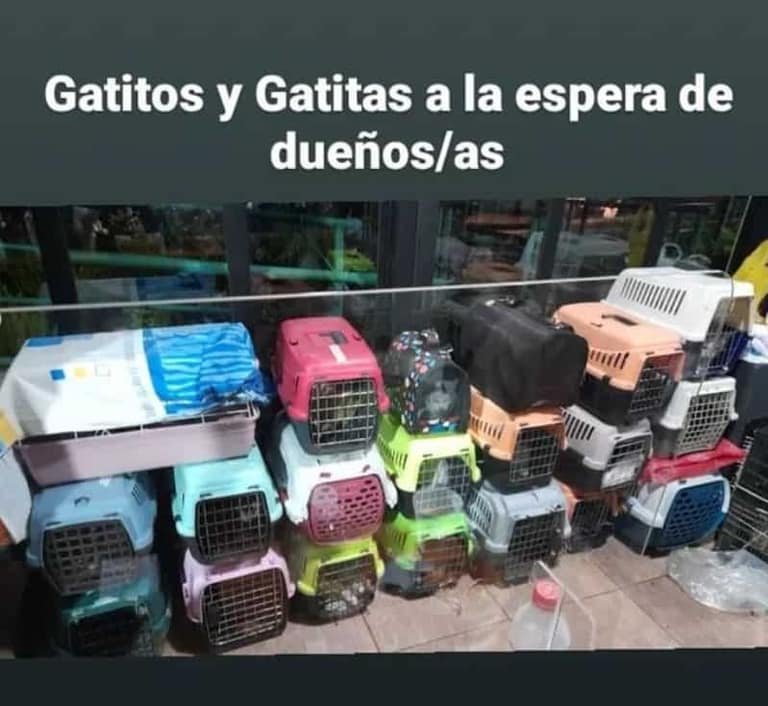 Sammis Reyes en la selección nacional de básquetbol.