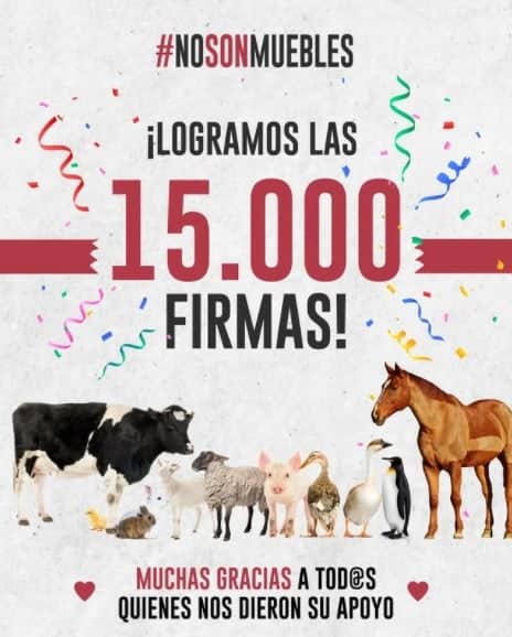 animales seres sintientes