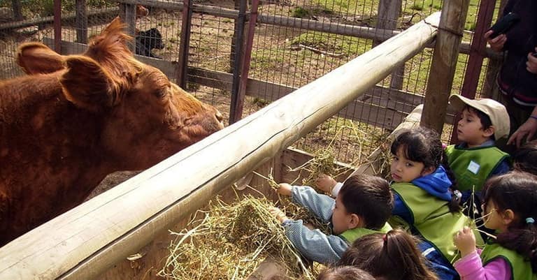 La granja educativa es un hermoso proyecto que hoy está en el más completo abandono