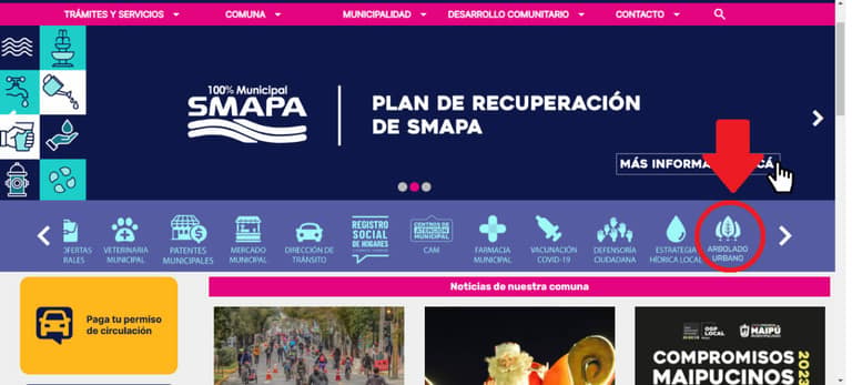 poda arbol maipú
