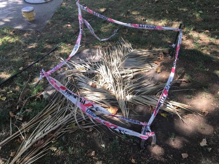 Hoyos que llevan más de 5 años en ciclovía de Pajaritos están en completo abandono