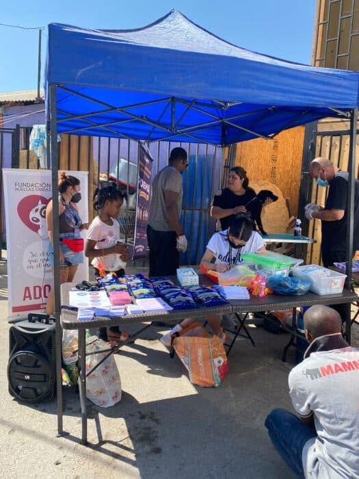 [FOTOS] Fundación animalista realizó operativo de bienestar animal en Maipú