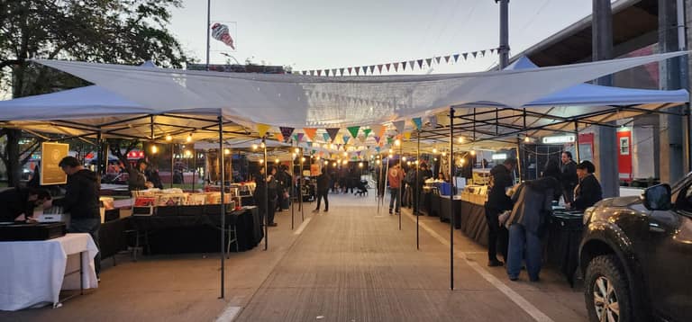 Panorama imperdible: Este sábado aterriza en Maipú la Feria de Vinilos