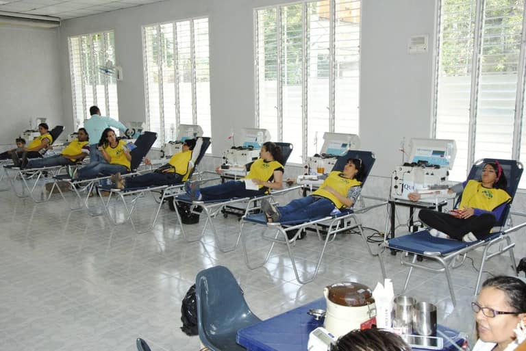 donación sangre