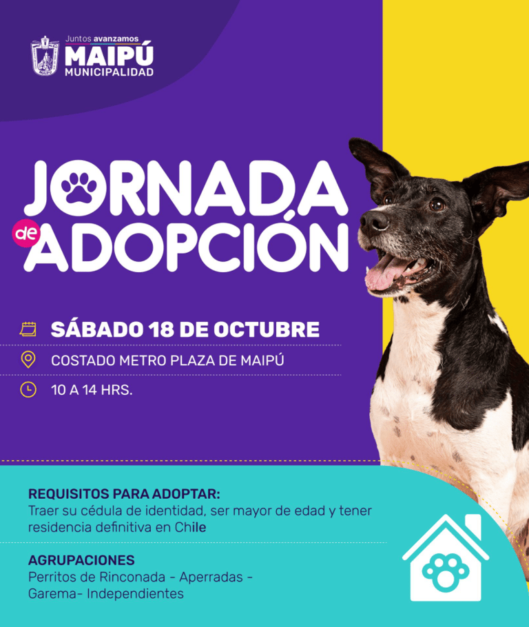 Jornada de adopción en Maipú.