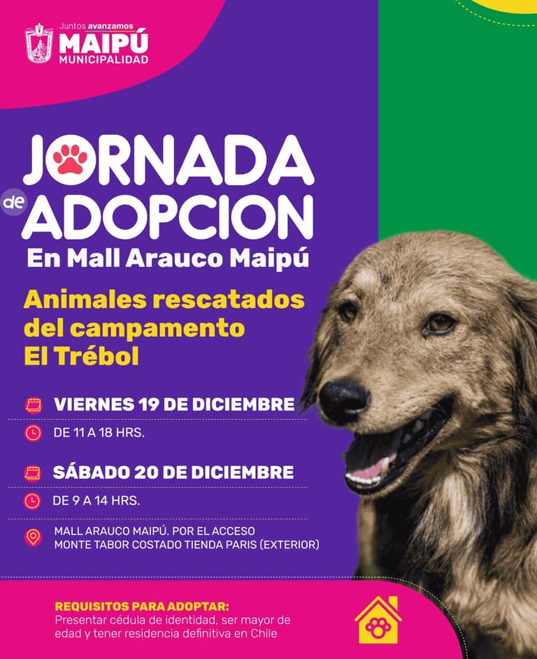 jornada de adopción