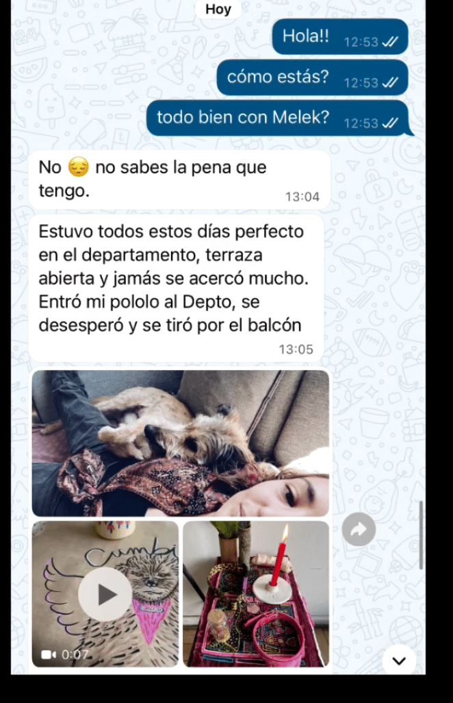 caso melek