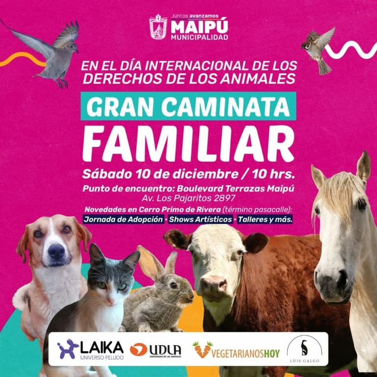 caminata familiar animales
