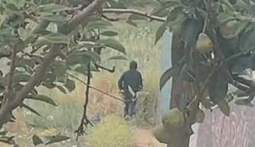 Ola de robos en Villa El Rosal de Vespucio 2