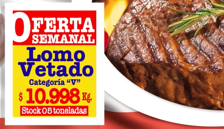 oferta diña carne