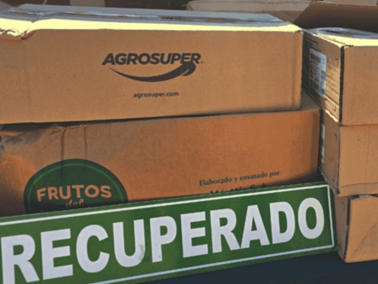 Robo a camión con carne en Pudahuel termina con detención en Maipú