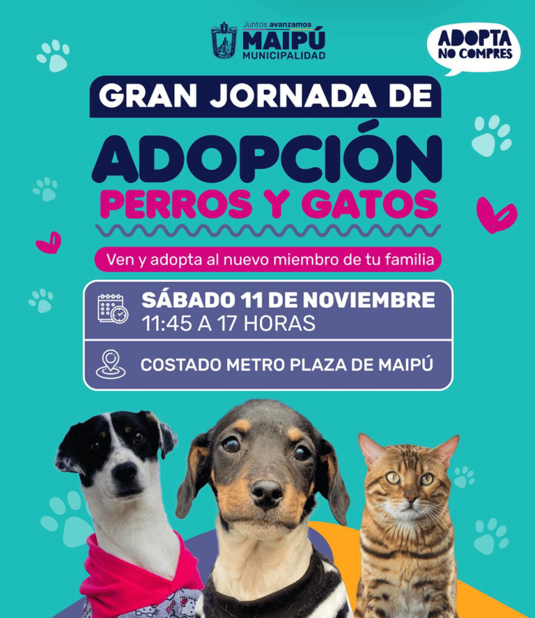 adpcion jornada