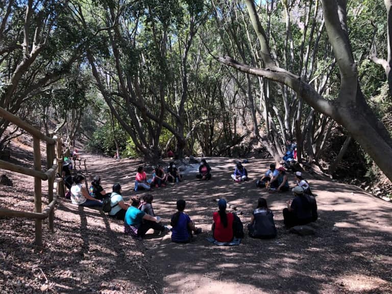 Mujeres concluyen actividad reunidas en el bosque de peumos.