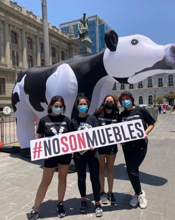 Convención no son muebles