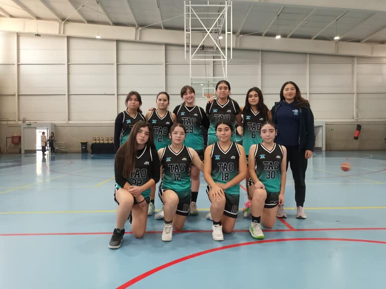 Equipos de vóley y básquetbol del Colegio Terraustral Oeste de Maipú disputan las semifinales de la Copa Soprole UC