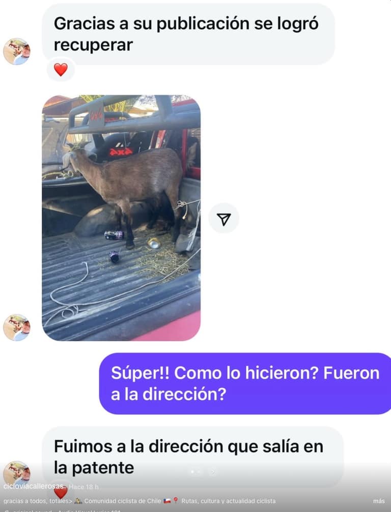 Chivo Robado Cuesta Barriga