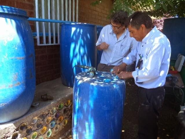 Ceibo trabajando en Sistema de Recolección de aguas