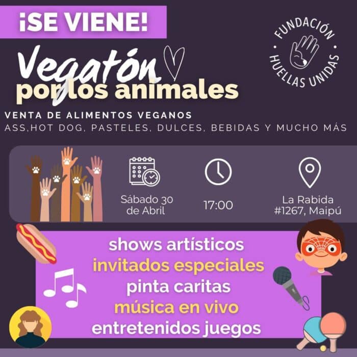 vegatón fundación