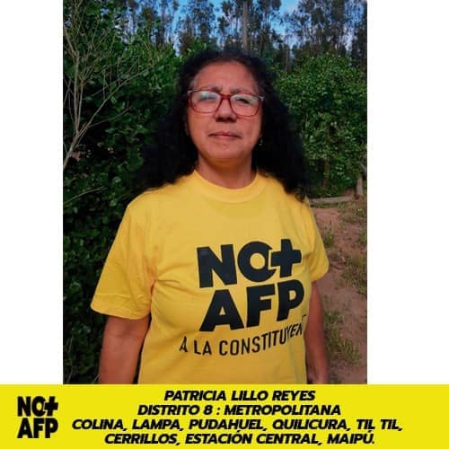 patty lillo constituyente