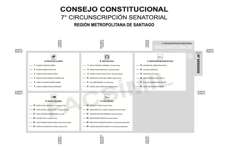 Consejo Constitucional papeleta