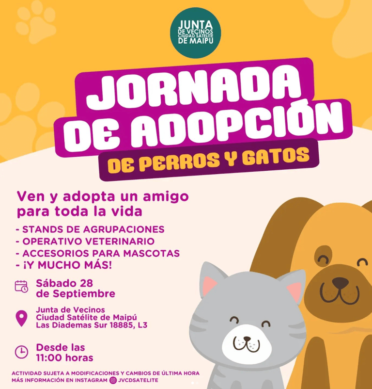jornada de adopción perros y gatos en maipu