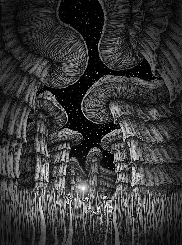 Obra "Laberinto Fungi" - Jimsind