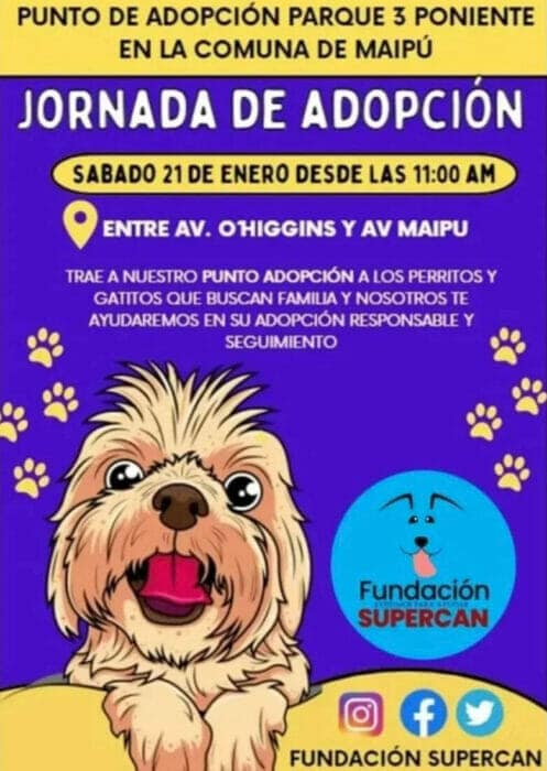 jornada de adopción Maipú